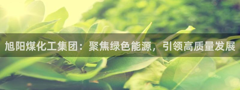 球盟会能退钱吗是真的吗：旭阳煤化工集团：聚焦绿色能源，引领高