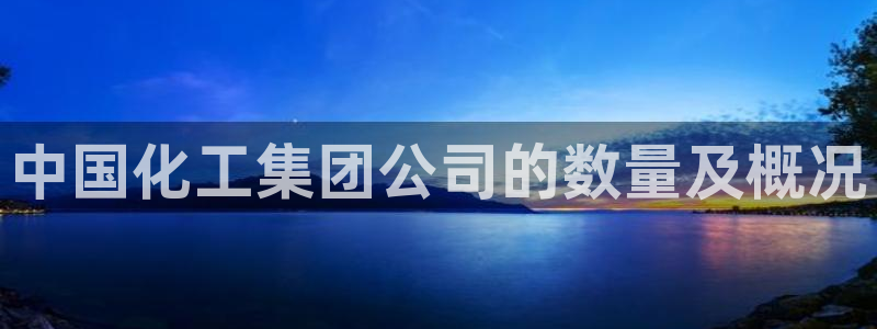 球盟会APP官网