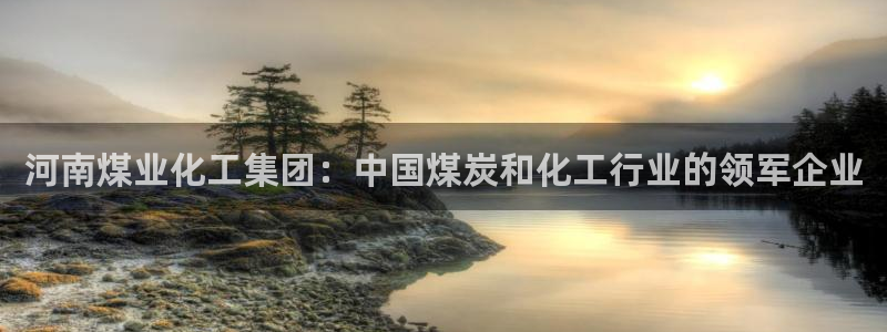球盟会qmh电子网页版登录：河南煤业化工集团：中国煤炭和化工