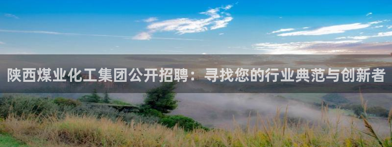 球盟会黑款吗还是白款：陕西煤业化工集团公开招聘：寻找您的行业