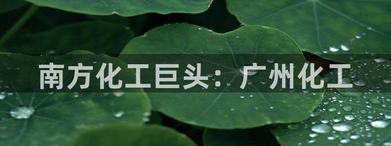 球盟会登陆：南方化工巨头：广州化工