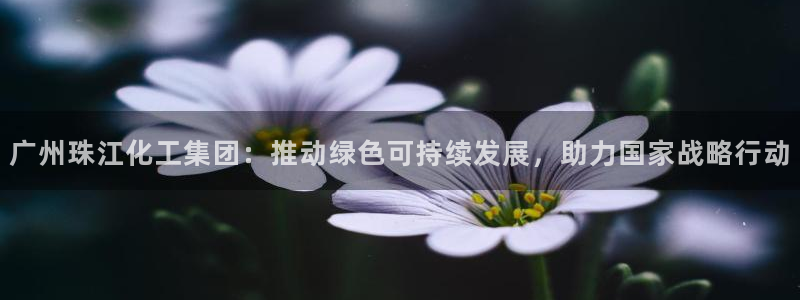 球盟会里面有打牌的嘛：广州珠江化工集团：推动绿色可持续发展，