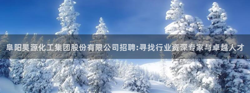 球盟会qm：阜阳昊源化工集团股份有限公司招聘:寻找行业资深专