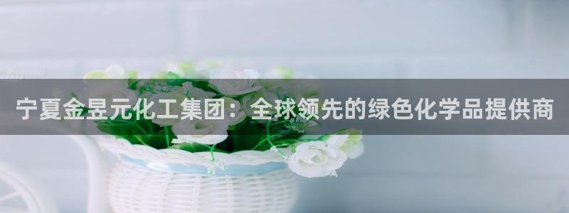 球盟会里面有打牌的嘛知乎：宁夏金昱元化工集团：全球领先的绿色