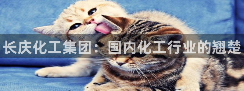 球盟会官方网站入口