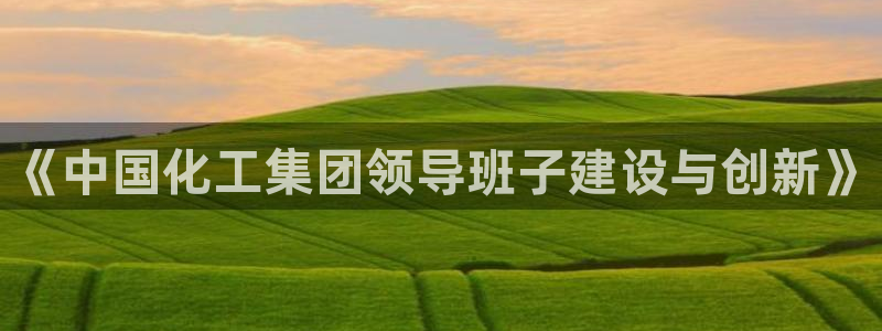 球盟会乐虎：《中国化工集团领导班子建设与创新》