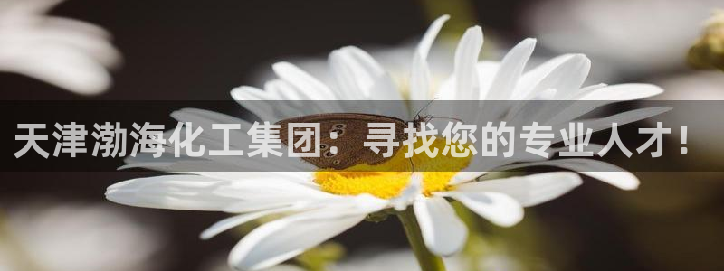 球盟会官方网页登录：天津渤海化工集团：寻找您的专业人才！