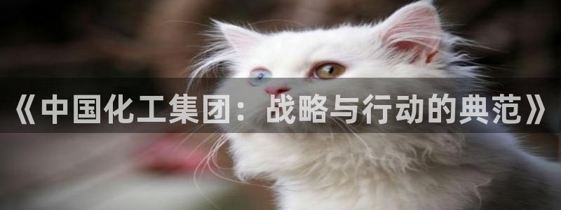 球盟会qmh登录地址：《中国化工集团：战略与行动的典范》