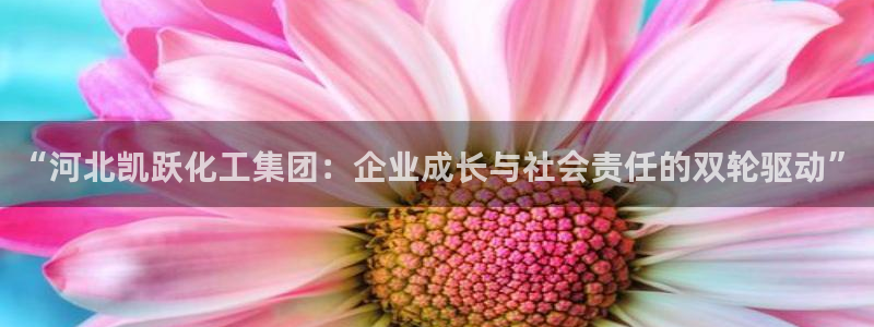 球盟会进不去球员吗：“河北凯跃化工集团：企业成长与社会责任的