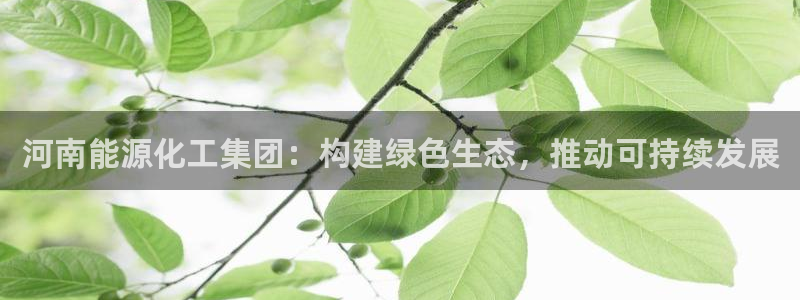 球盟会官方网入口：河南能源化工集团：构建绿色生态，推动可持续