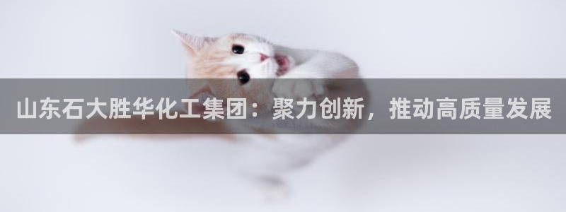 球盟会官方下载：山东石大胜华化工集团：聚力创新，推动高质量发