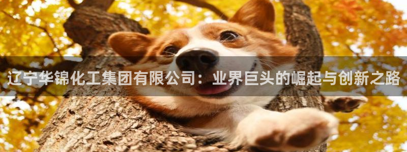 球盟会电子