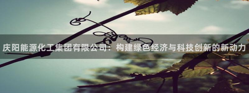 球盟会官方网站app：庆阳能源化工集团有限公司：构建绿色经济