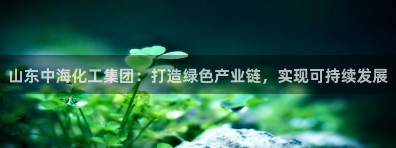 球盟会官方入口：山东中海化工集团：打造绿色产业链，实现可持续