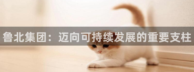 球盟会最新活动：鲁北集团：迈向可持续发展的重要支柱