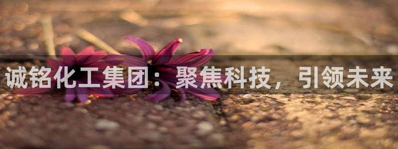 球盟会qm8597：诚铭化工集团：聚焦科技，引领未来