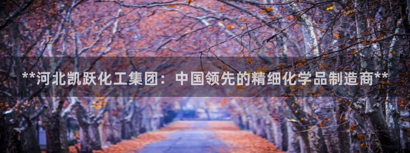 球盟会下载最新版：**河北凯跃化工集团：中国领先的精细化学品