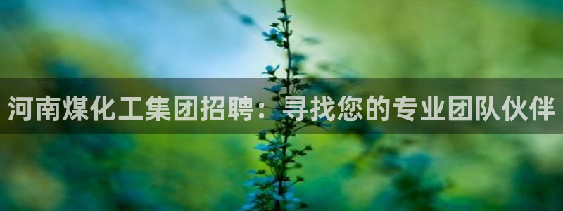 球盟会App：河南煤化工集团招聘：寻找您的专业团队伙伴