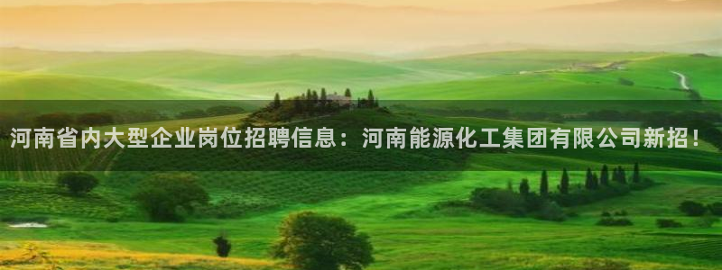 球盟会qmh：河南省内大型企业岗位招聘信息：河南能源化工集团