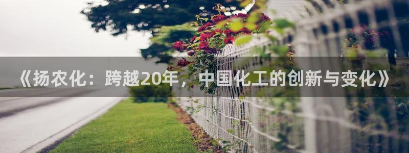 球盟会黑钱：《扬农化：跨越20年，中国化工的创新与变化》