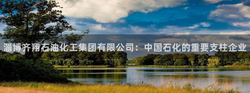 球盟会最新活动：淄博齐翔石油化工集团有限公司：中国石化的重要