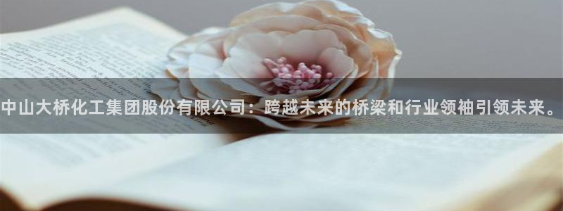 球盟会和中欧会的区别：中山大桥化工集团股份有限公司：跨越未来