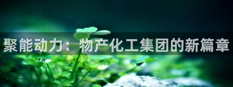 球盟会中国网页登录：聚能动力：物产化工集团的新篇章