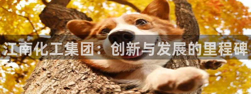 球盟会APP官网：江南化工集团：创新与发展的里程碑