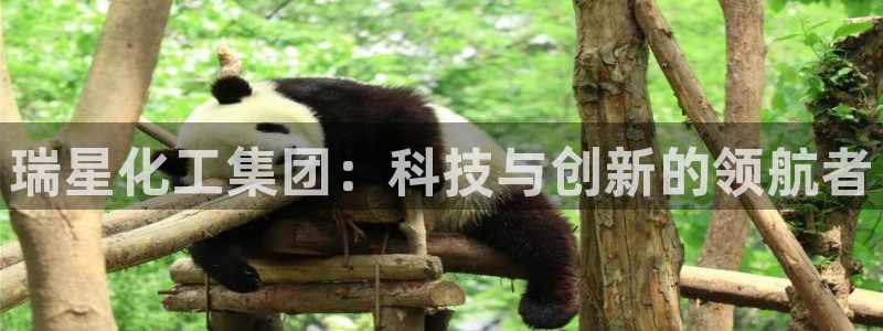 球盟会在线官网：瑞星化工集团：科技与创新