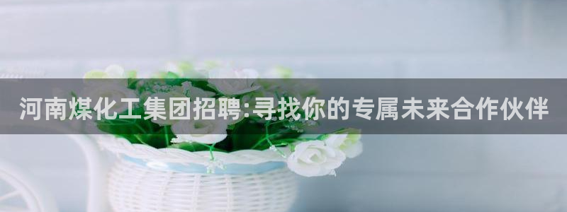 球盟会综合app下载：河南煤化工集团招聘:寻找你的专属未来合