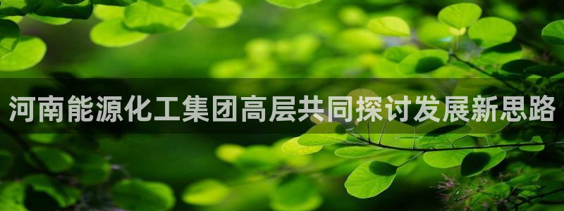 球盟会优惠码：河南能源化工集团高层共同探