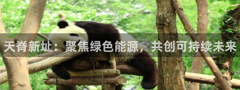 球盟会乐虎：天脊新址：聚焦绿色能源，共创可持续未来