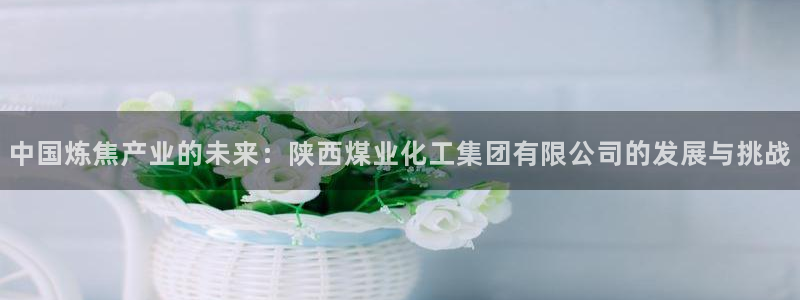 球盟会qm：中国炼焦产业的未来：陕西煤业化工集团有限公司的发