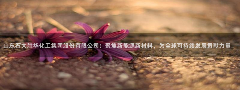 球盟会qmh网页版登录：山东石大胜华化工集团股份有限公司：聚