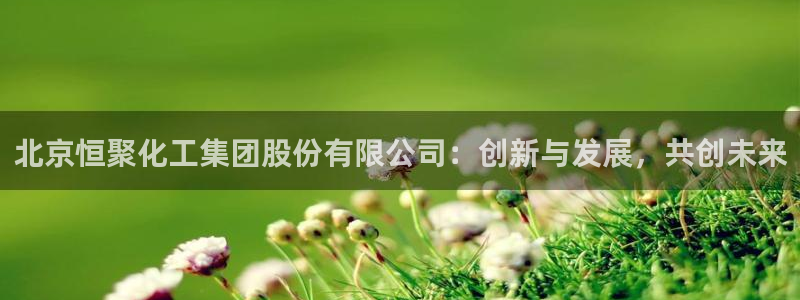 球盟会网址多少：北京恒聚化工集团股份有限公司：创新与发展，共