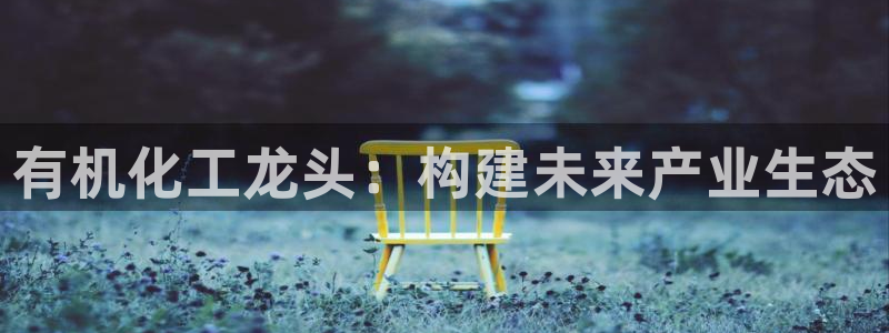 球盟会娱乐平台：有机化工龙头：构建未来产业生态
