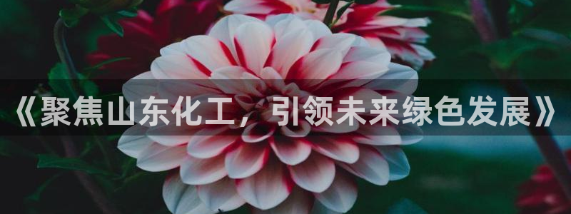 球盟会优惠领取网站：《聚焦山东化工，引领未来绿色发展》
