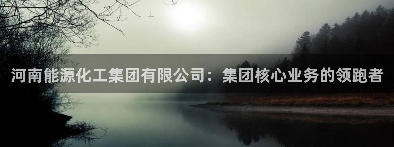 球盟会头号玩家是谁：河南能源化工集团有限公司：集团核心业务的