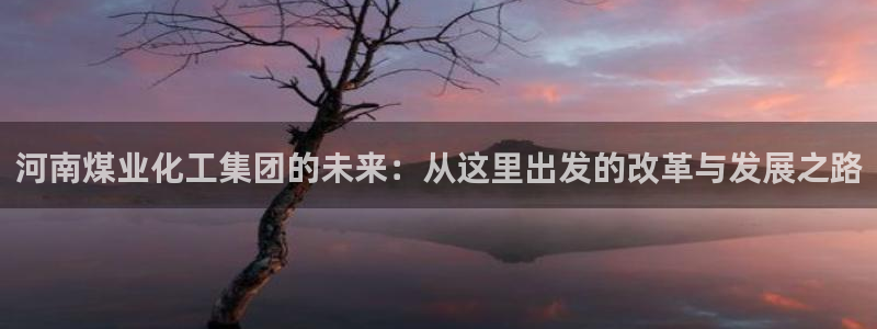 球盟会有限公司怎么样：河南煤业化工集团的未来：从这里出发的改