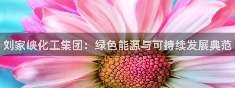 球盟会qmh - 球盟会官方网站：刘家峡化工集团：绿色能源与
