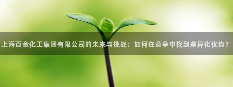 球盟会最新地址备用：上海百金化工集团有限公司的未来与挑战：如