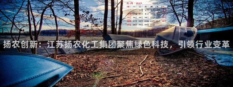 球盟会在线官网：扬农创新：江苏扬农化工集团聚焦绿色科技，引领
