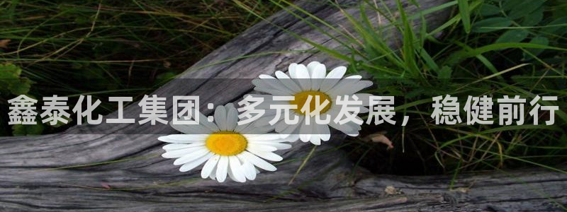 球盟会最新：鑫泰化工集团：多元化发展，稳健前行