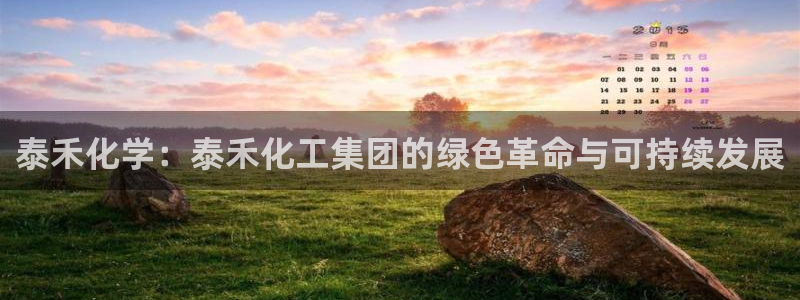 球盟会进不去：泰禾化学：泰禾化工集团的绿色革命与可持续发展