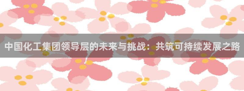 球盟会能提现吗：中国化工集团领导层的未来与挑战：共筑可持续发