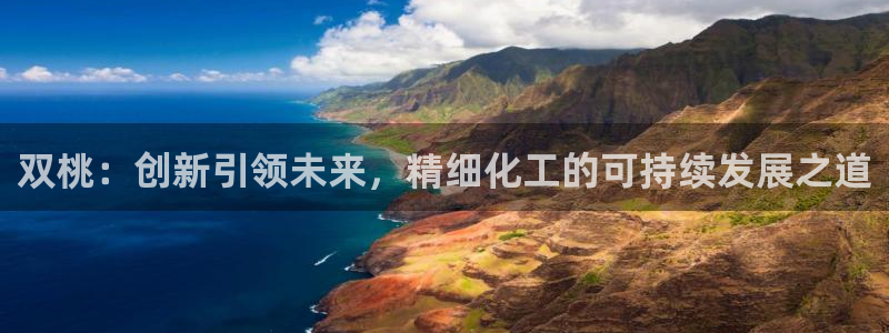 球盟会qmh网址：双桃：创新引领未来，精细化工的可持续发展之