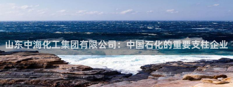 球盟会里面有打牌的嘛是真的吗：山东中海化工集团有限公司：中国