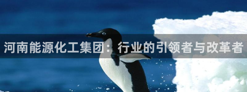 球盟会最新地址备用