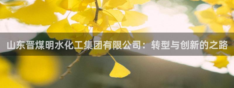 球盟会唯一：山东晋煤明水化工集团有限公司