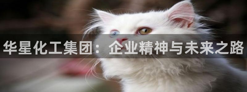 球盟会下载最新版